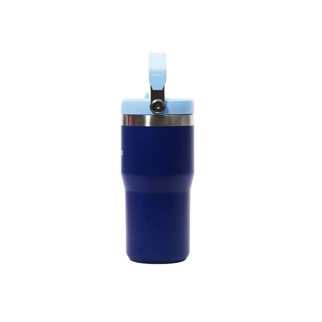 flip straw tumbler Stanley