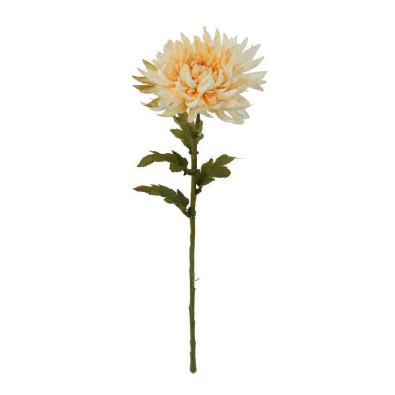 Flower white