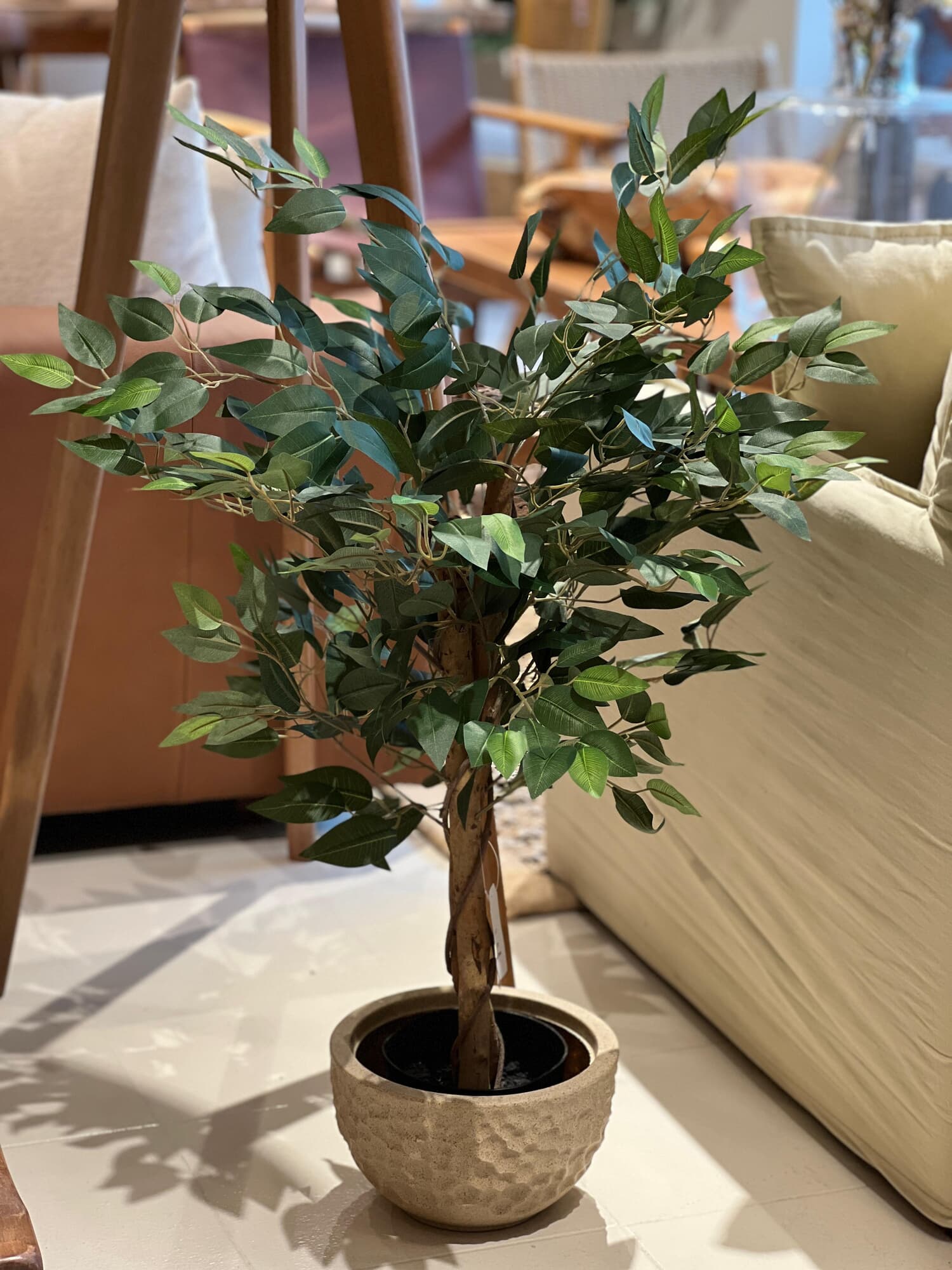 Cute tree
