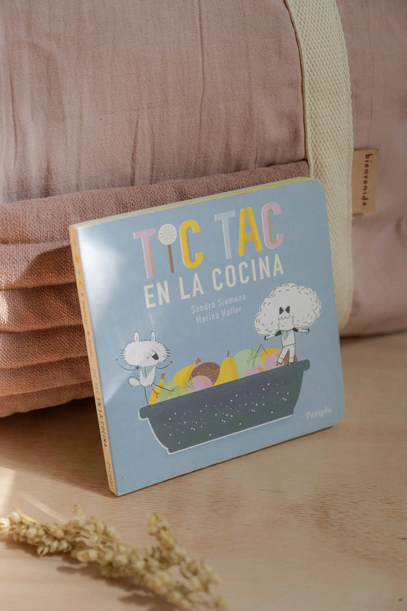 Kit Mis primeros chiches - Cubo