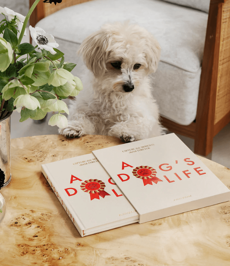 ALBUM FOTOS A DOG´S LIFE - DOG JOURNAL