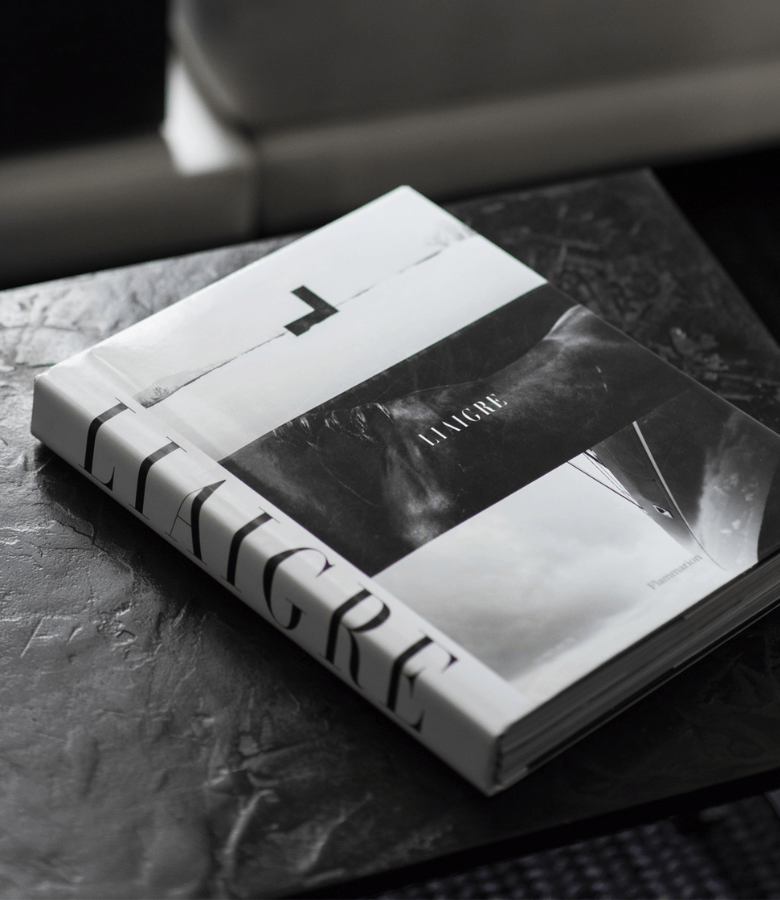 LIBRO LIAIGRE 12 PROJECTS